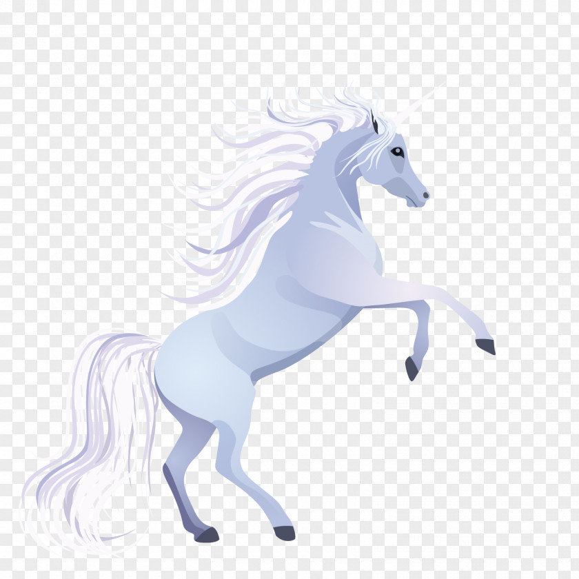 Vector Unicorn Horse PNG