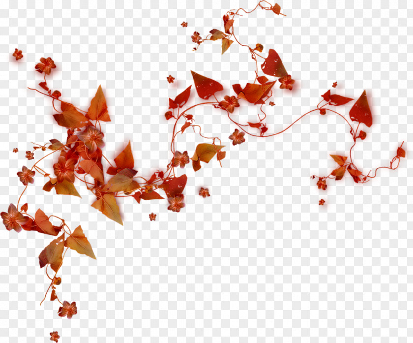 Autumn Leaves Pink Flowers Clip Art PNG