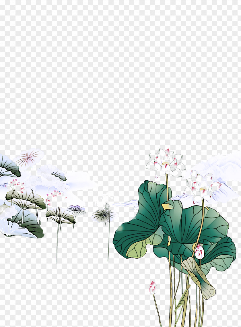 Flower Plant Aquatic Leaf Stem PNG