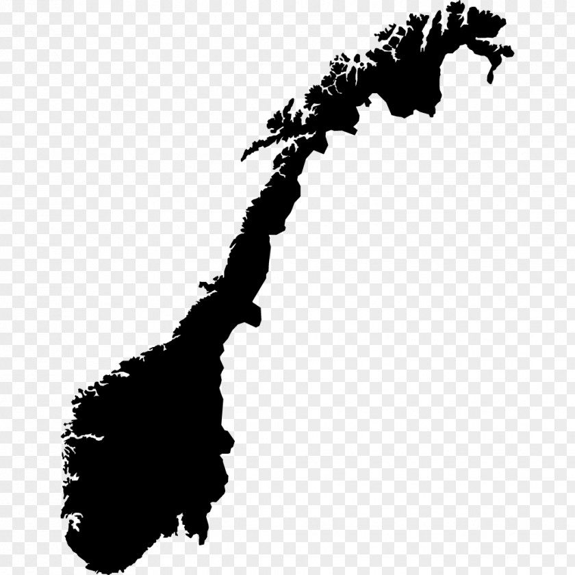 Norway Flag Of Vector Map PNG