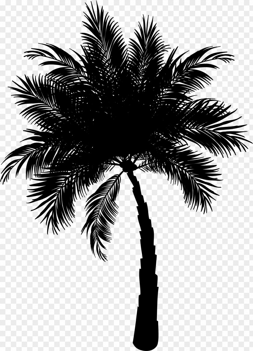 Palm Trees Asian Palmyra Date Coconut Clip Art PNG