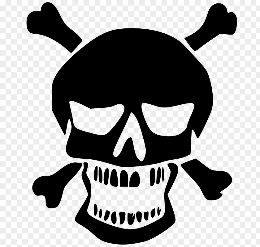 Skull Human Symbolism And Crossbones PNG