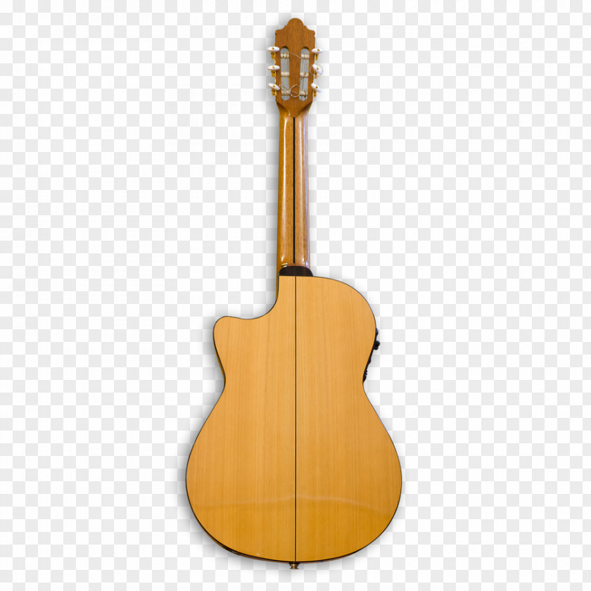 Acoustic Guitar Tiple Bass Acoustic-electric Cuatro PNG