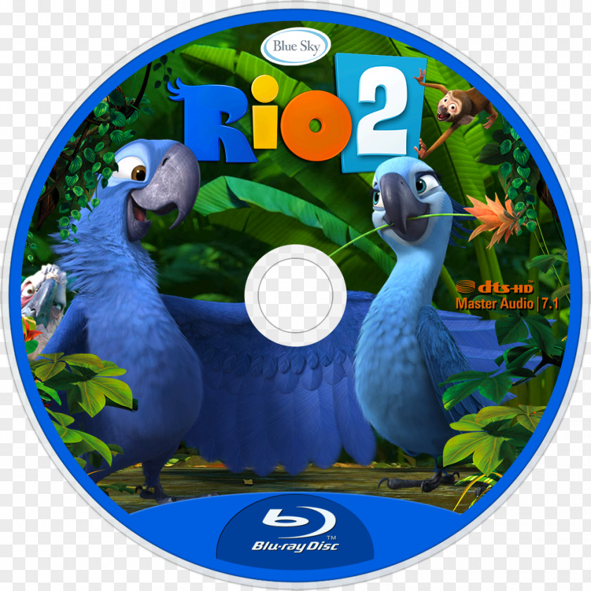 Blu Rio Macaw Blu-ray Disc Beak Blue Sky Studios PNG