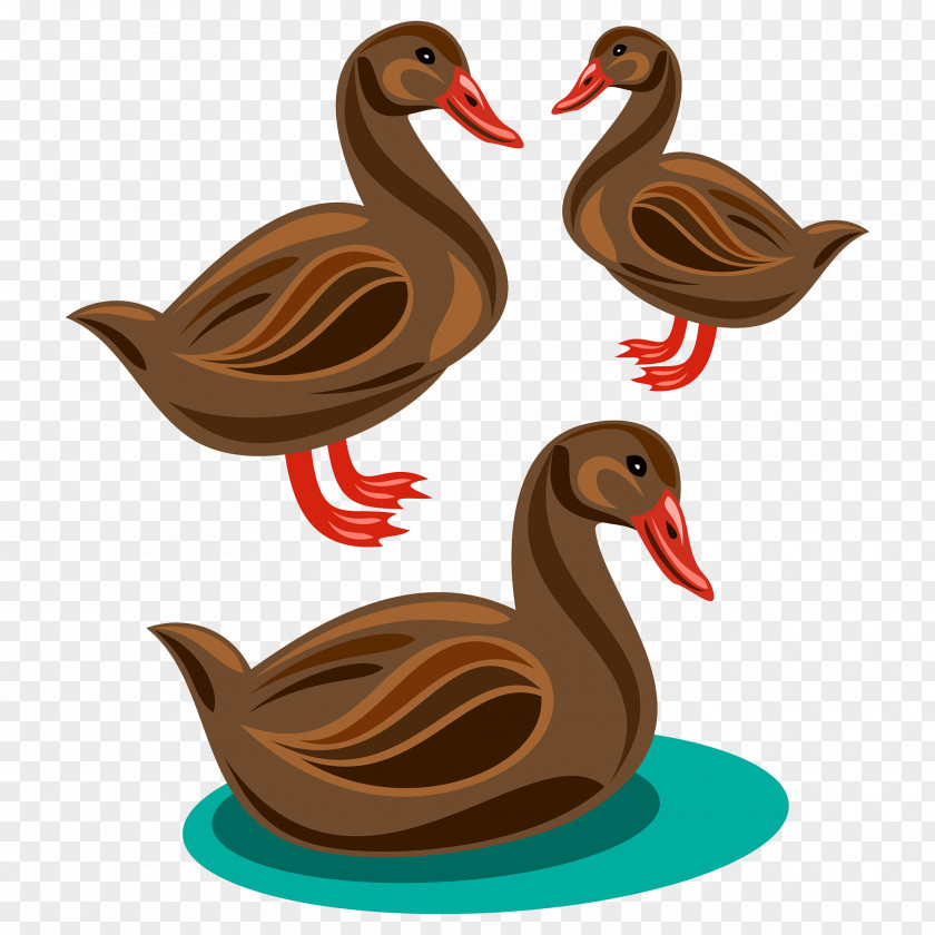 Duck Cartoon Illustration PNG