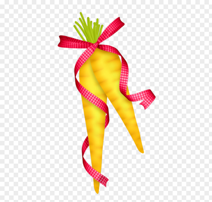 Vegetables Carrot Fruits Et Lxe9gumes Vegetable PNG