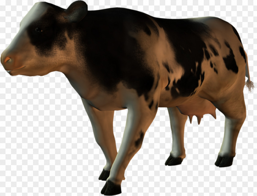 ANIMAl Cattle Calf Ox PhotoScape Clip Art PNG