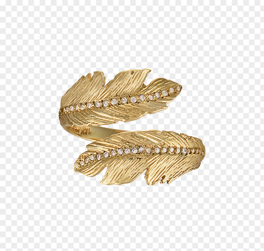 Jewellery PNG