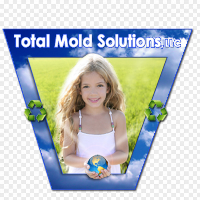 Odor Total Mold Solutions, LLC. Indoor Air Quality Sinus Infection PNG