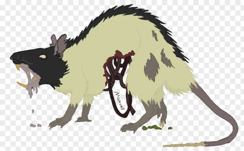 Rat Mouse Drawing Common Opossum PNG