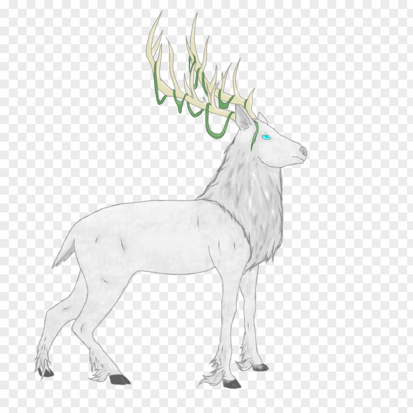 Reindeer Antelope Elk Drawing PNG