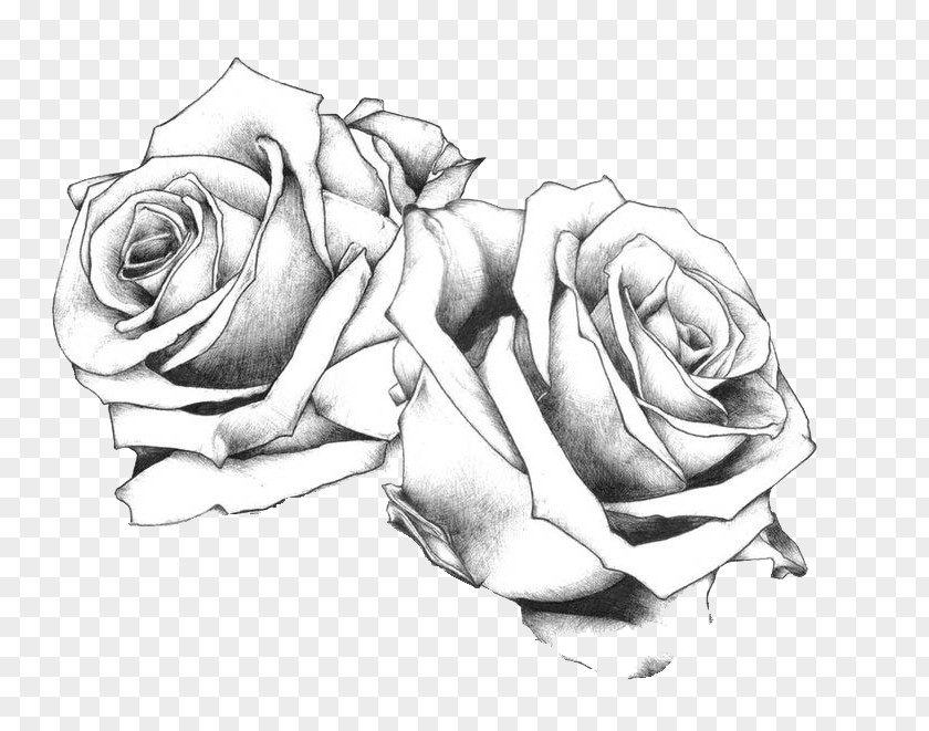 Rose Tattoo Drawing Art Flash PNG