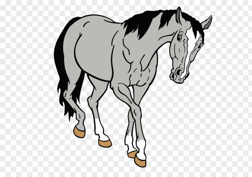 Vector Cartoon Horse Download Can Stock Photo Clip Art PNG