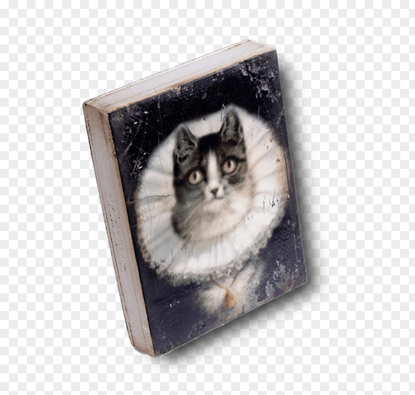 Cat Katzenfreundschaften (4 Wunderschöne Katzengeschichten Vom Tiervater Alfred Brehm) Whiskers Collage Picture Frames PNG