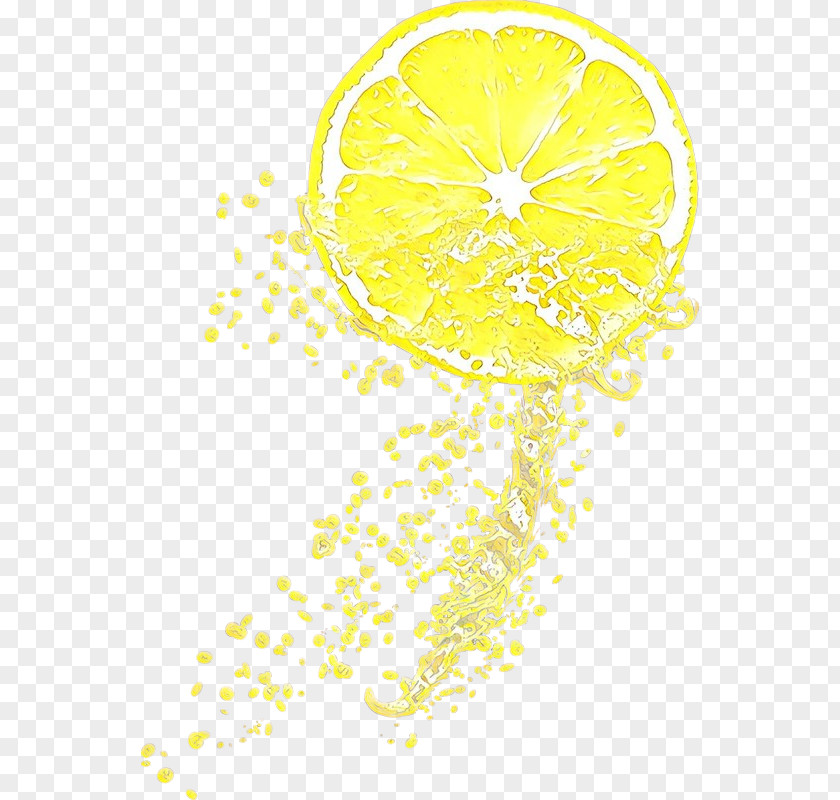 Citrus Meter Lemon Tree PNG