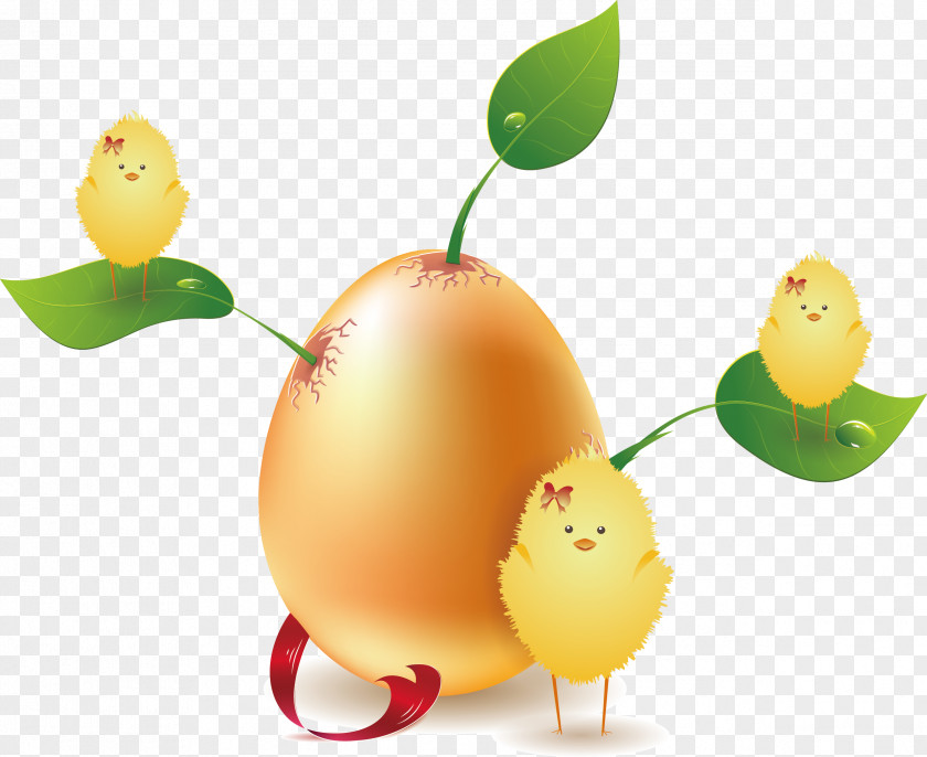 Creative Chick Vector Chicken Adobe Illustrator PNG