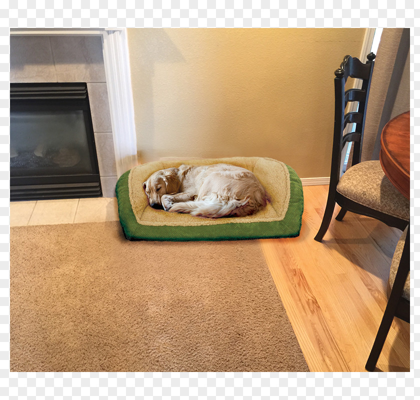 Dog Bed Frame Couch Table PNG