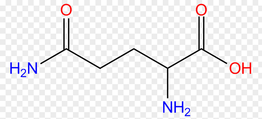 Glutamic Acid Amino Glutamate Arginine Glutamine PNG