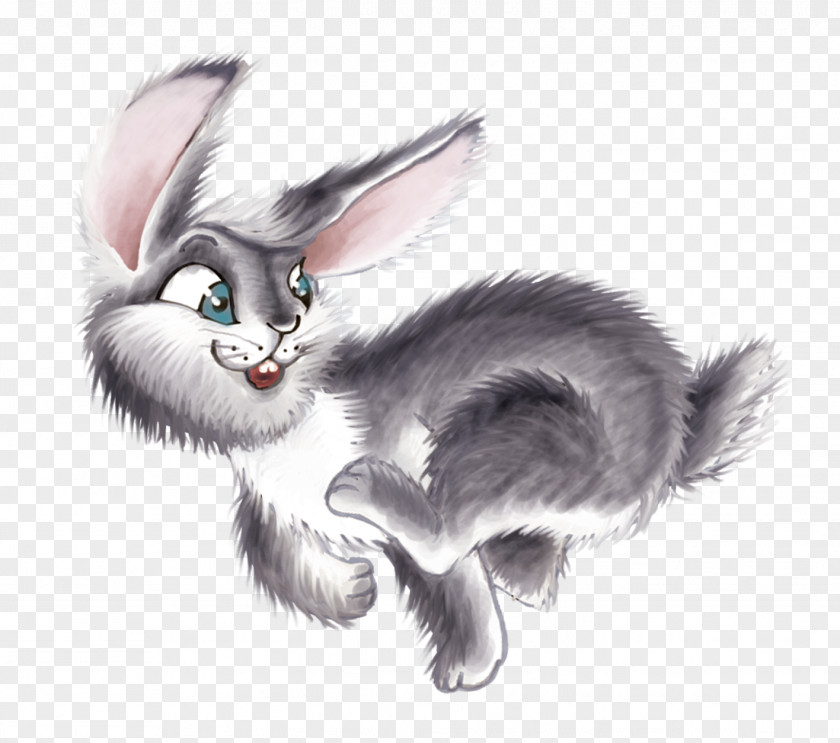 Hare Cat Animal PNG