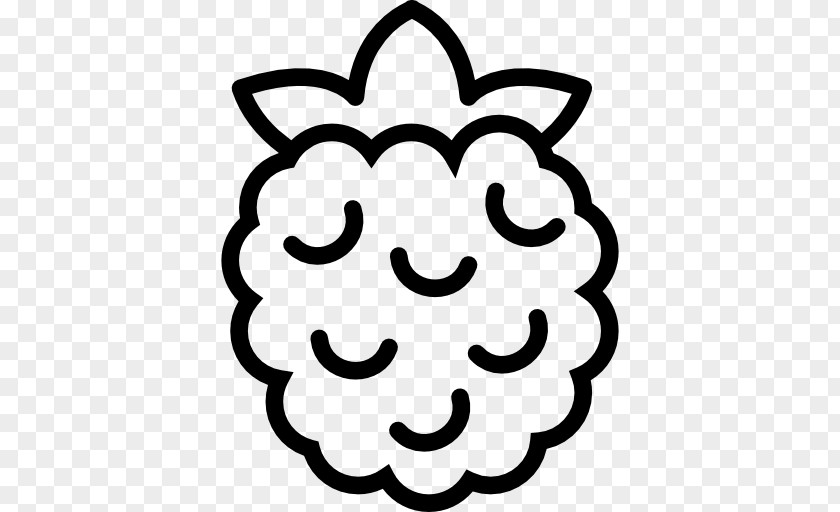 Raspberry PNG