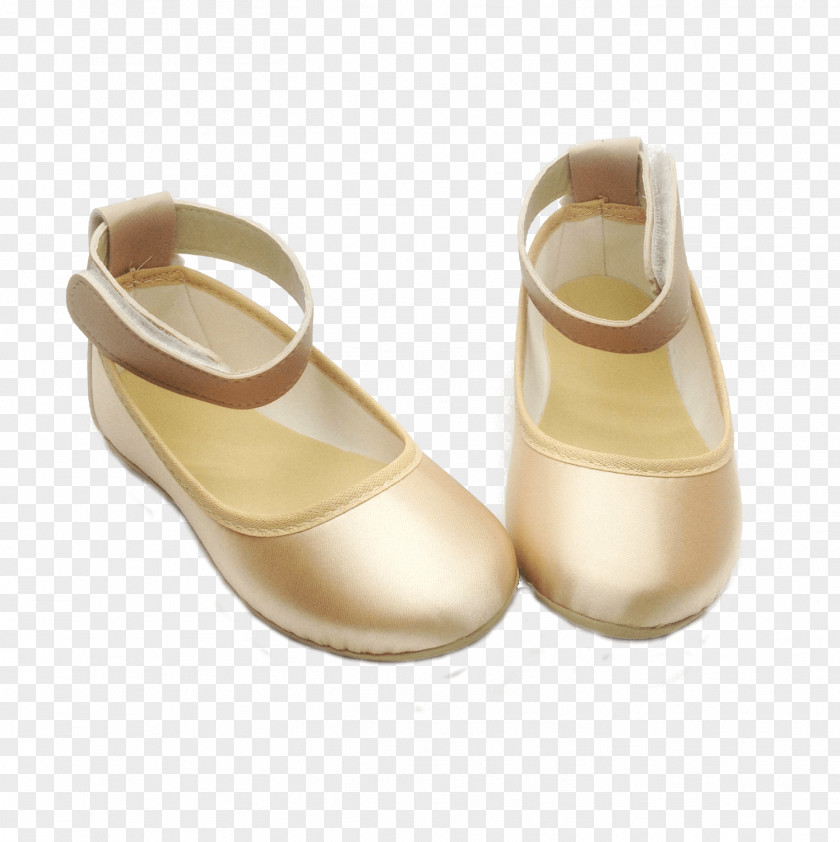 Sandal Ballet Shoe PNG