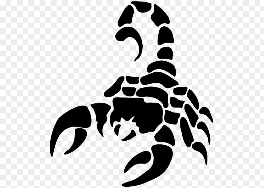 Scorpion Tattoo Silhouette Agar.io Sacramento Scorpions PNG