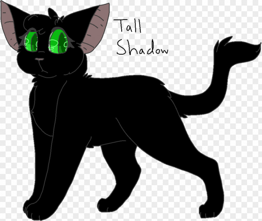 Shadow Warrior Cat Kitten Warriors Shadowstar Thistleclaw PNG