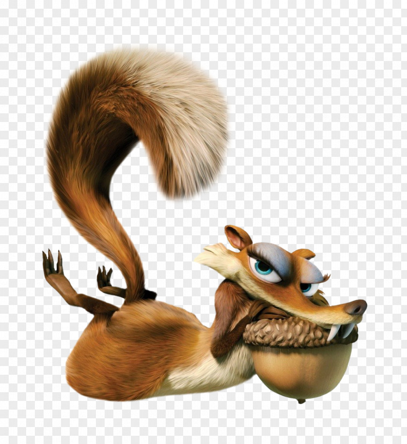 Squirrel Scratte Ice Age Film Character PNG