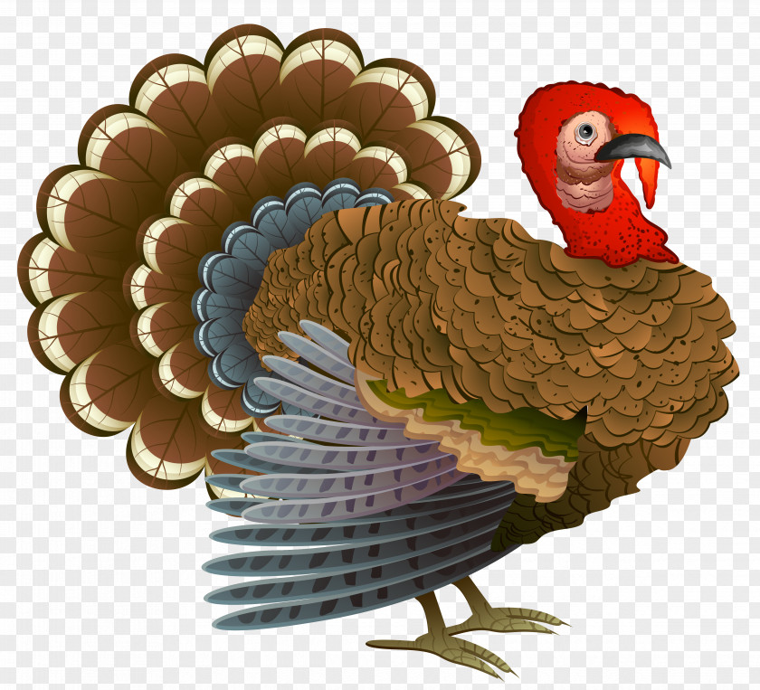 Turkey Clipart Thanksgiving Dinner Cornucopia Clip Art PNG
