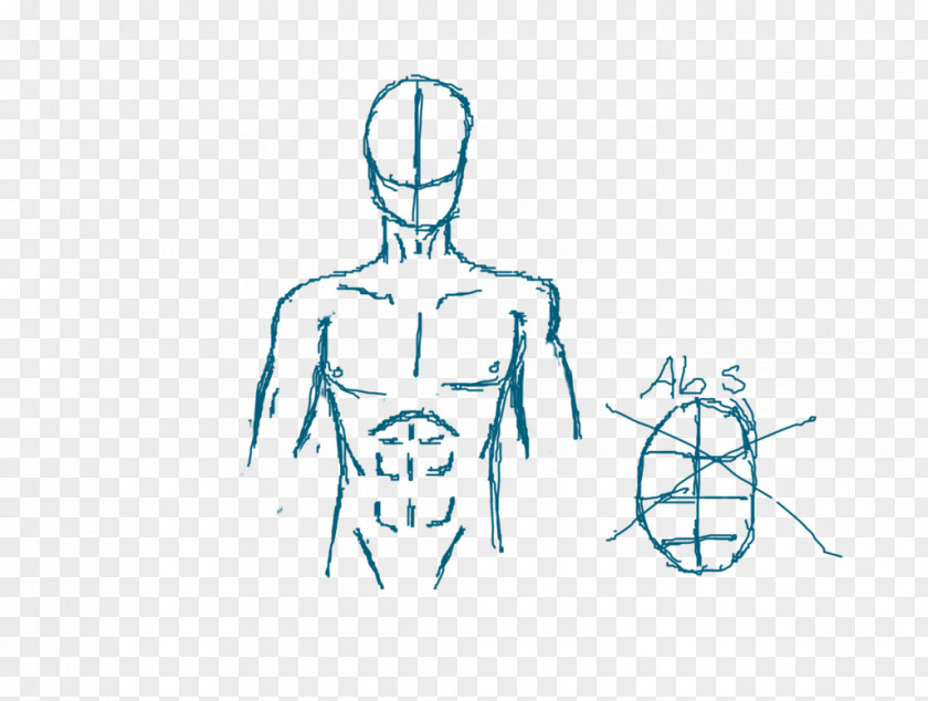 Abs Drawing Diagram Rectus Abdominis Muscle PNG
