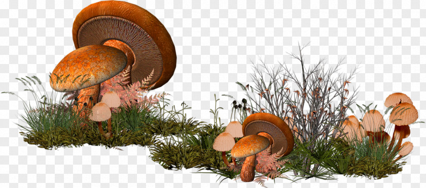 Cartoon Grass Mushroom Forest Decoration Pattern Clip Art PNG