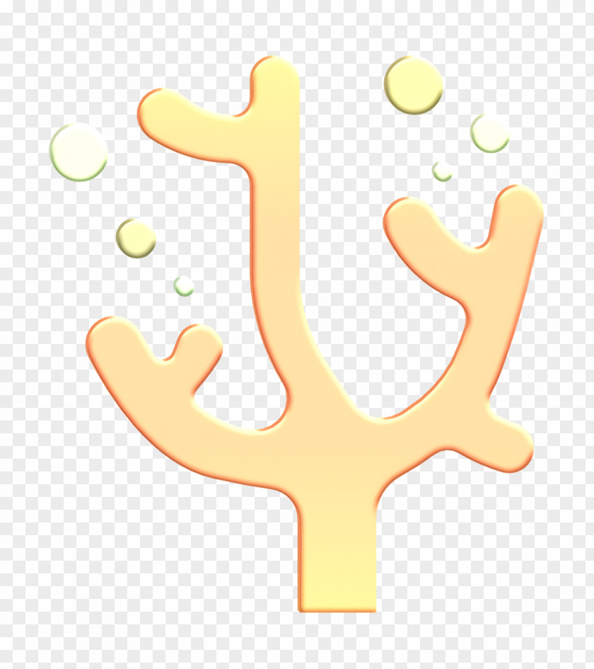 Coral Icon Sea Life PNG