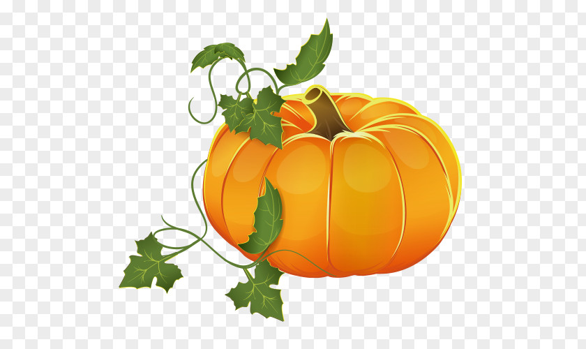 Creative Thanksgiving Pumpkin Pie The Patch Parable Squash Soup Autumn PNG