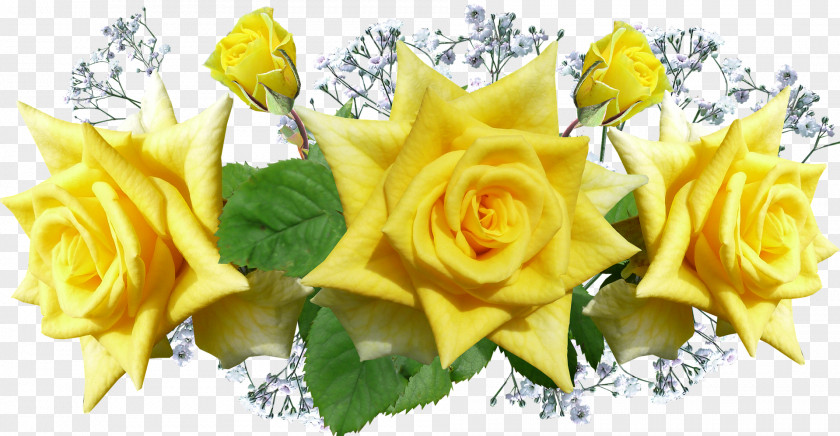 Flower Designs Image Yellow PNG