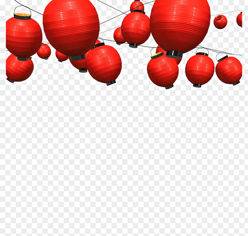 Chinese Lantern Plant Festival Paper Image File Format PNG