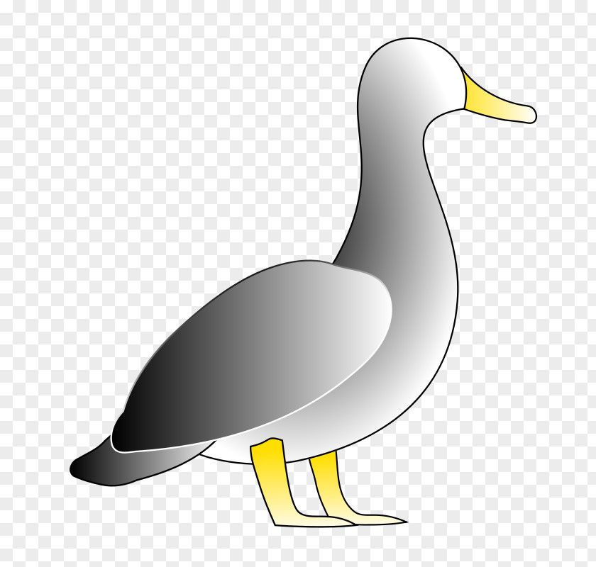 Duck Images Free Donald Clip Art PNG