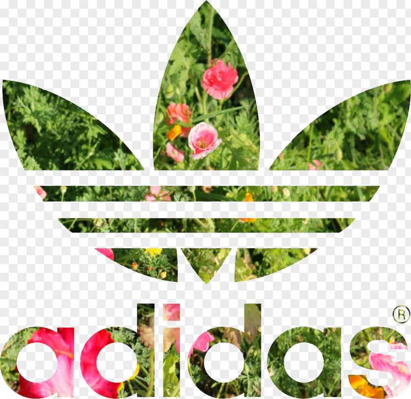 Flower Logo T-shirt Adidas Stan Smith Hoodie Originals PNG