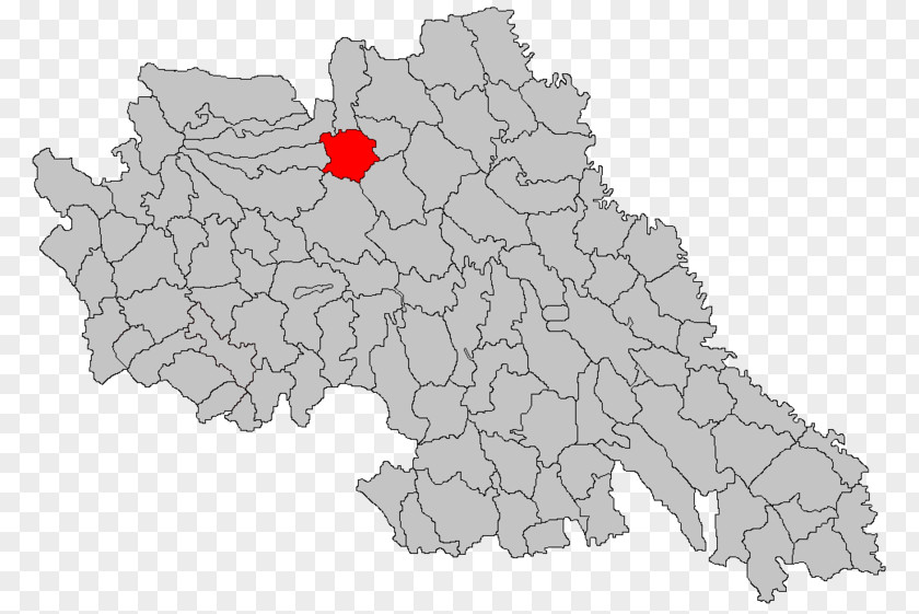 Judô Cluj-Napoca Metropolitan Area Craiova Iași Satu Mare PNG