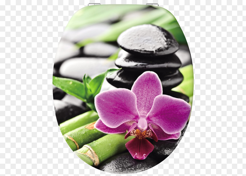 Rock Bamboo Orchid Zen Painting PNG