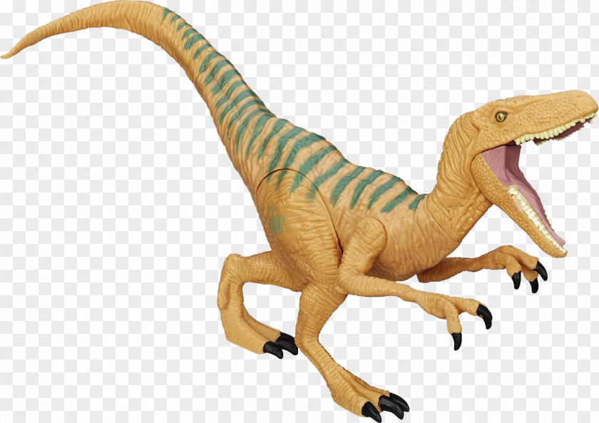 Dinosaur Velociraptor Amazon.com Action & Toy Figures Tyrannosaurus Carnotaurus PNG