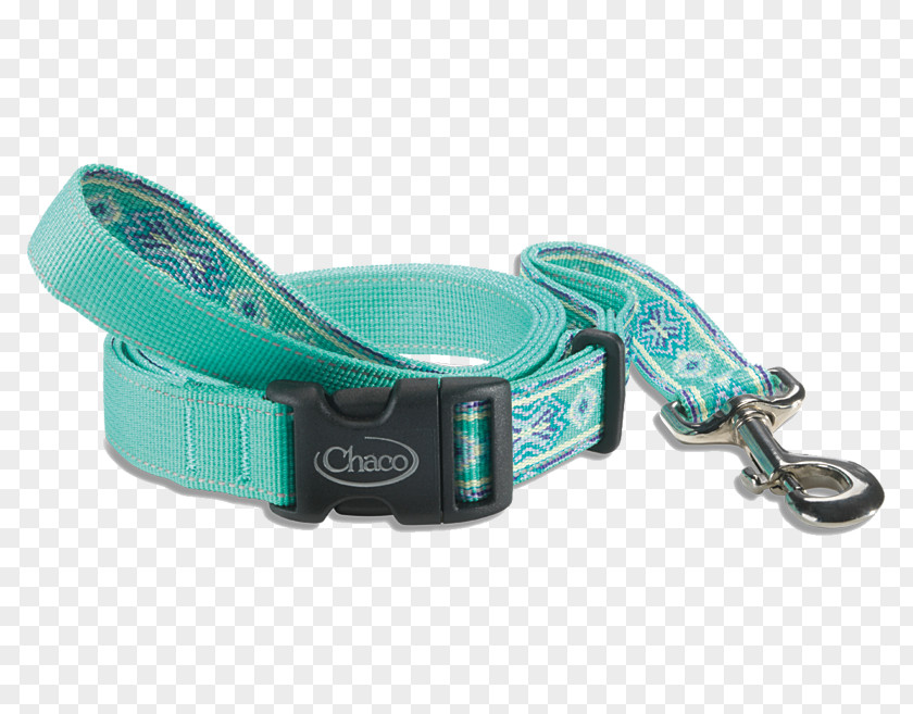 Dog Collars Leash Collar Paloma PNG