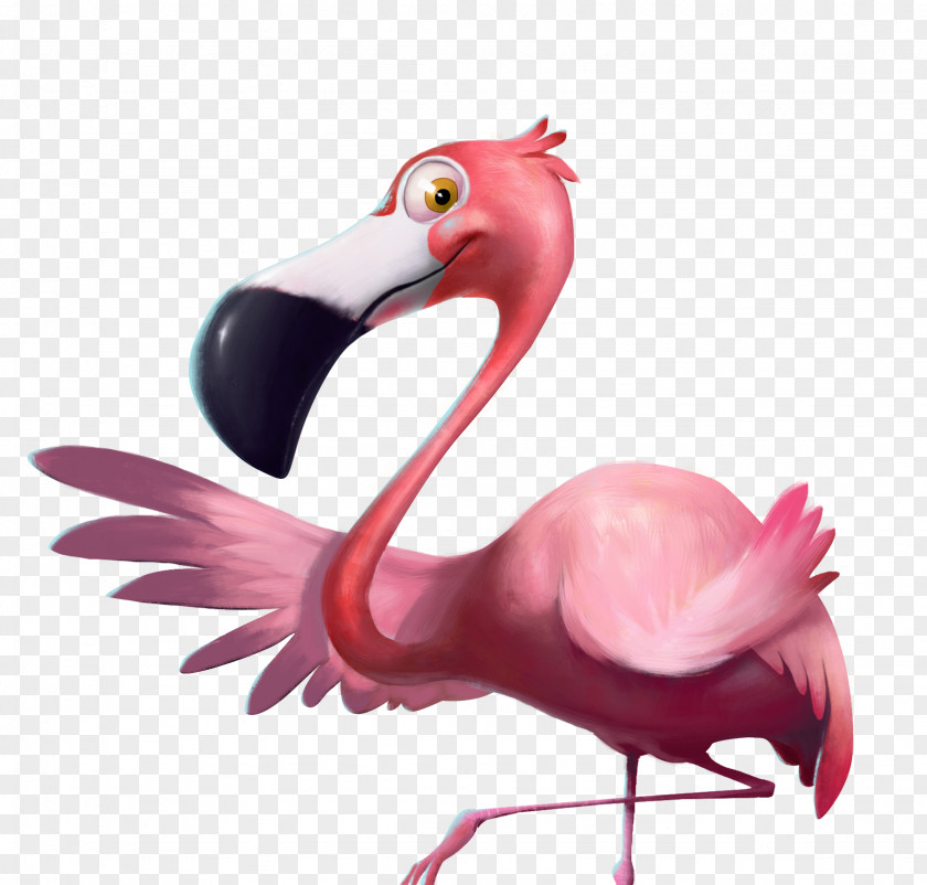 Flamingo Bird Cartoon PNG
