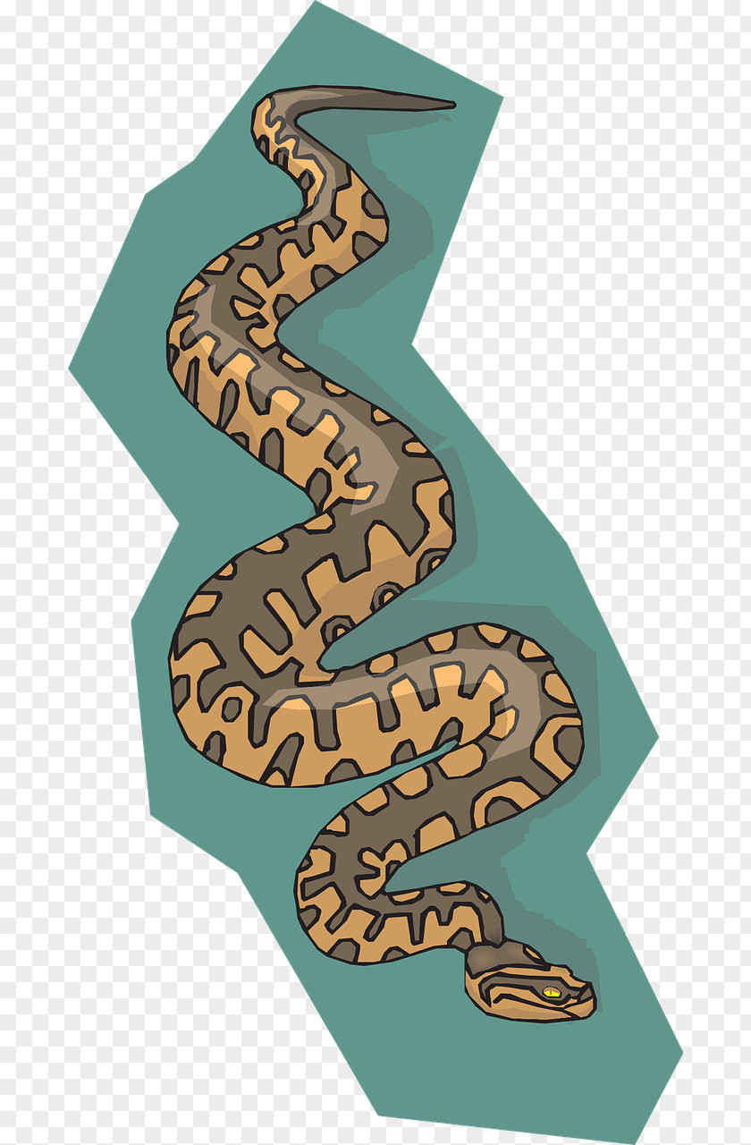 Snake Reptile Clip Art PNG