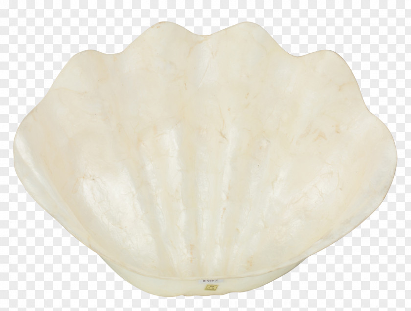 Treasure Bowl Mateus Ceramic Artifact .de Seashell PNG