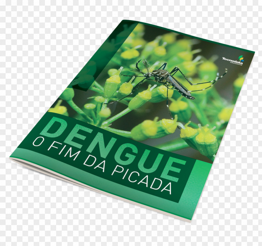 Dengue Infectious Disease Book Pamphlet PNG