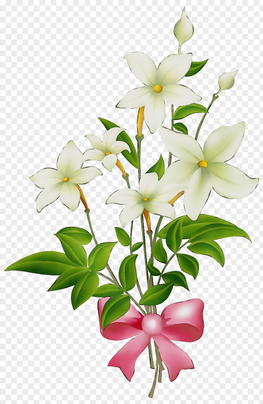 Floral Design PNG