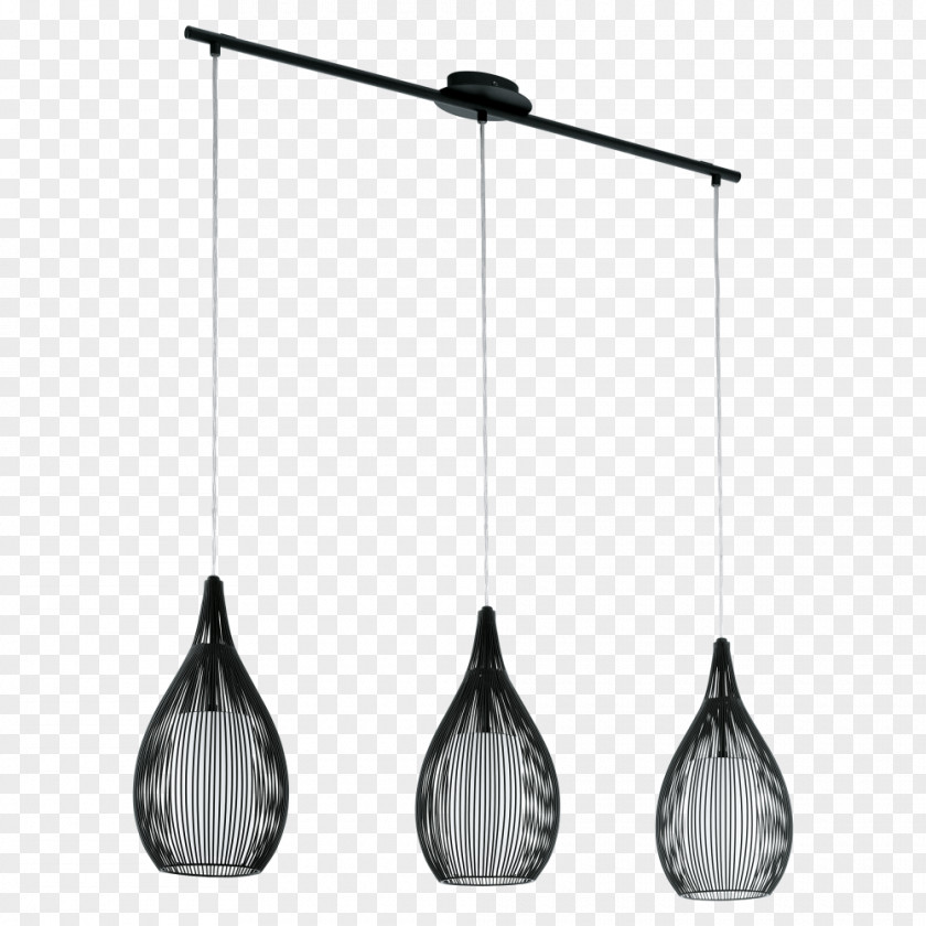 Light Pendant Fixture Track Lighting Fixtures PNG