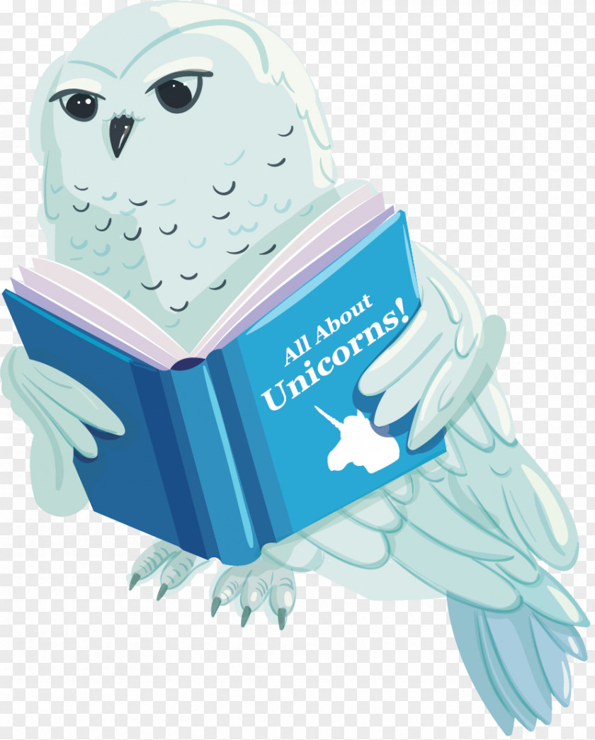 Owl Clip Art The Enchanted Forest Scholastic Book Fairs PNG