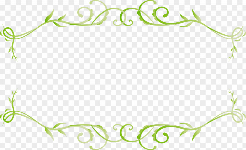 Plant PNG