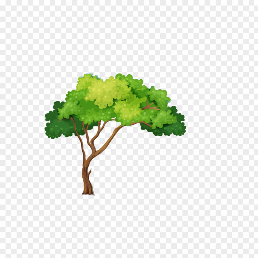 Trees Nature Stock Photography Clip Art PNG